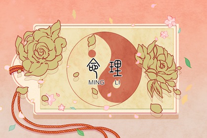 日历202日历黄道吉日 中国万年历日历 万年历2026年日历表